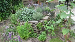 Advies Particulieren