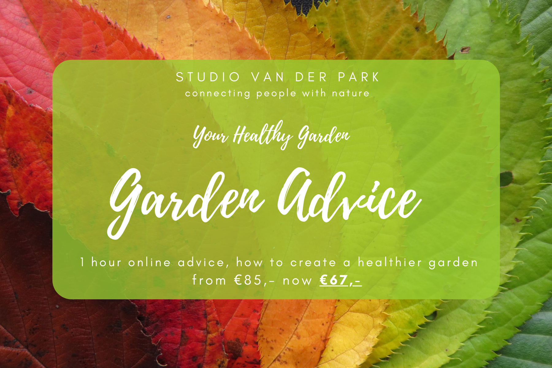 StudioVan der Park Healthy Garden Advice