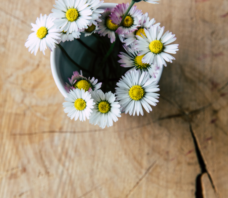 Schermafbeelding 2017-05-16 om 13.58.48